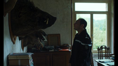 Dziki i zagadka morderstwa. Thriller wyr&oacute;żniony w Cannes