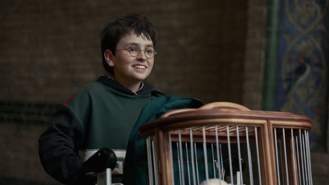 Wiemy, kto zagra rodzic&oacute;w Harry'ego Pottera