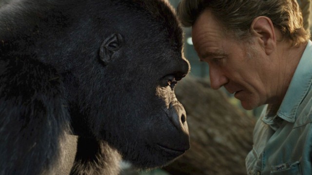 Ranking: Najlepsze filmy familijne do obejrzenia w PLAY NOW