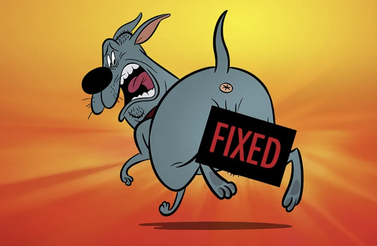 “Coyote vs. Acme 2”? Zaslav Gives Red Card to Adult Animation “Fixed”