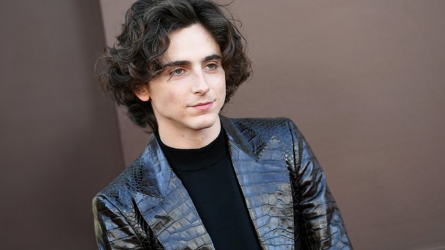 Timothée Chalamet: "Agent radził mi, żebym przypakował"