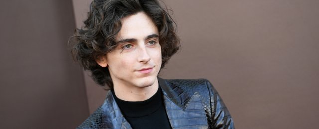 Timothée Chalamet o początkach kariery. Dlaczego nie miał szans...