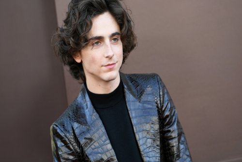 Timothée Chalamet: "Agent radził mi, żebym przypakował"