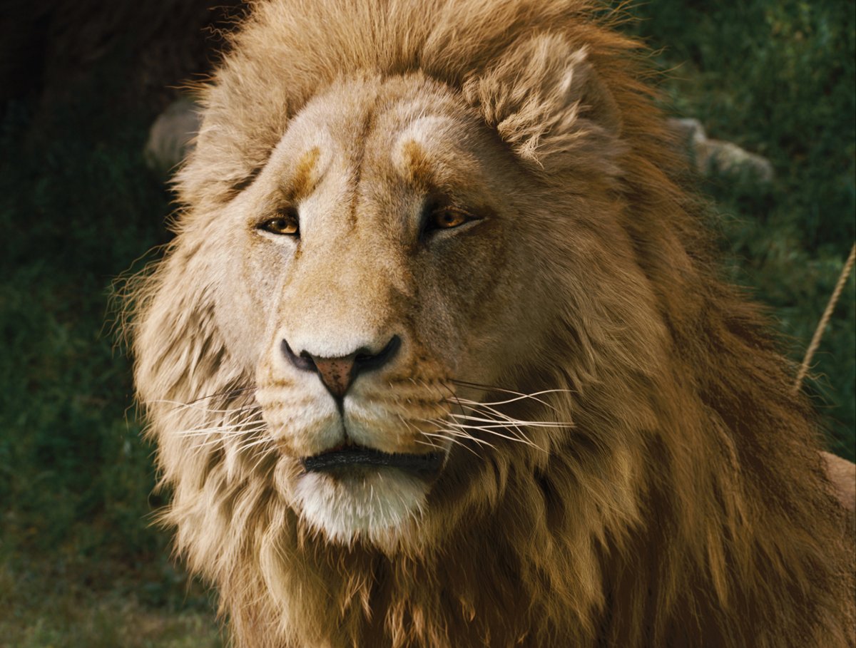 "Narnia" Netfliksa bez premiery w tym roku. Kiedy zobaczymy film Grety Gerwig?
