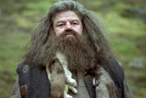 "Harry Potter": Co Nick Frost zrobił, by dostać rolę Hagrida?