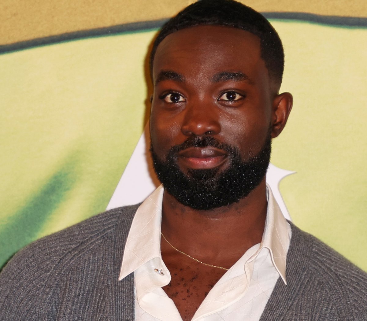 Szef HBO komentuje groźby wobec Paapy Essiedu