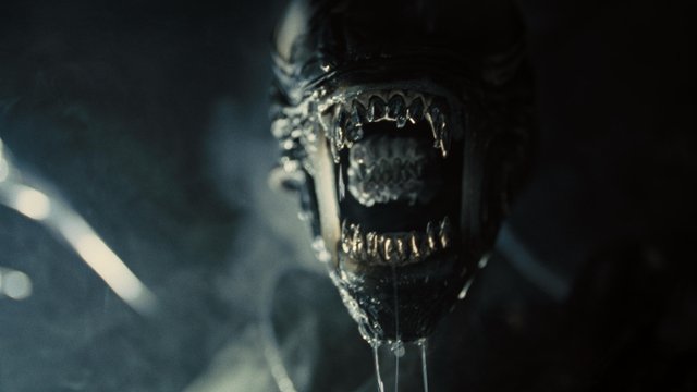 Czy poznaliśmy właśnie scenarzystę nowego filmu o Obcym?