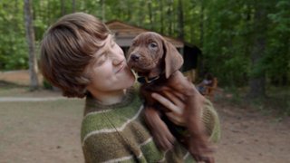 "Scooby-Doo: Origins": Kto dołączył do obsady?