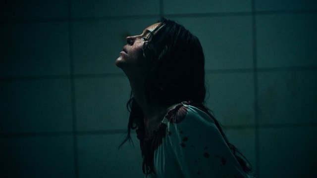Polski folk horror w drodze na ekrany. Zwiastun "&Ograve;pi"
