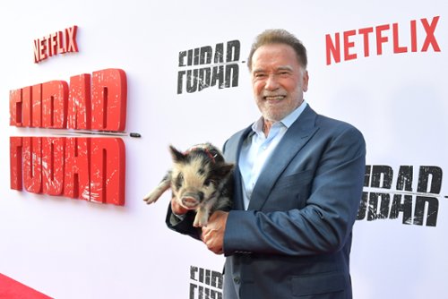 Na którym filmie Schwarzenegger zarobił najwięcej pieniędzy?