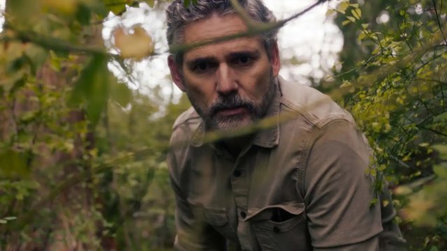 "Dzikość": będzie 2. sezon? Netflix podjął decyzję