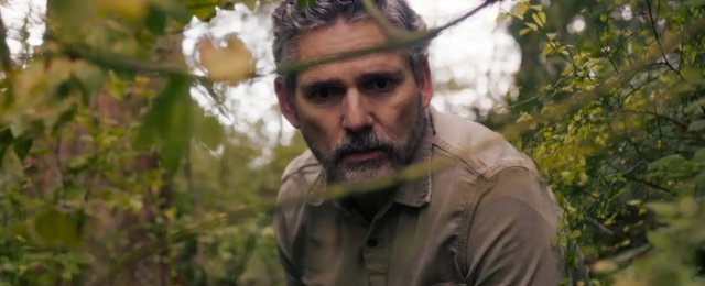 "Dzikość": będzie 2. sezon? Netflix podjął decyzję