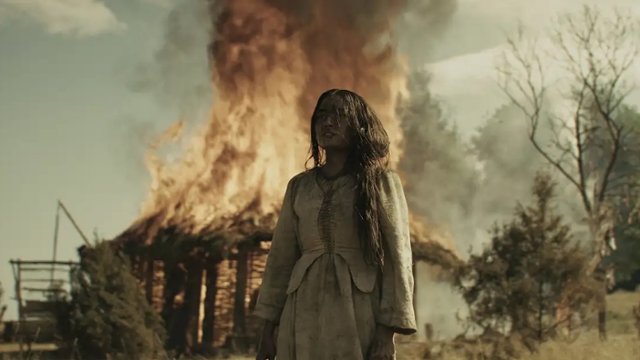 "Dziki" – zwiastun polskiego widowiska, które zobaczycie w IMAX