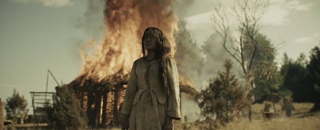 "Dziki" – zwiastun polskiego widowiska, które zobaczycie w IMAX