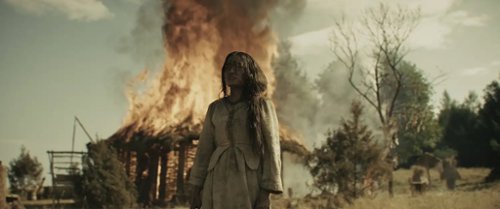 "Dziki" – zwiastun polskiego widowiska, które zobaczycie w IMAX