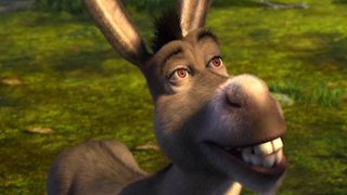 Daleko jeszcze? Wiemy, kiedy Osioł ze "Shreka" otrzyma własny film