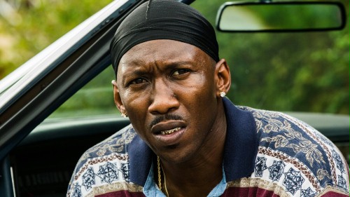 HBO rzuca wyzwanie Netfliksowi. Nowy "Detektyw" w Krainie Ozark