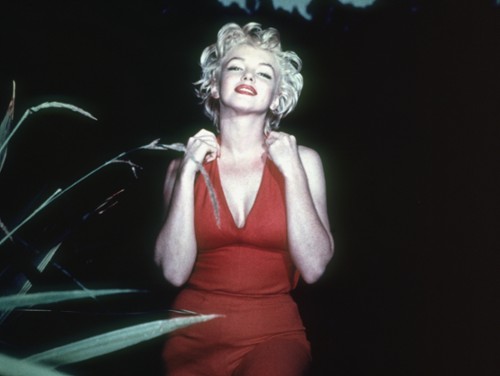 Producenci "Yellowstone" planują serial o Marilyn Monroe