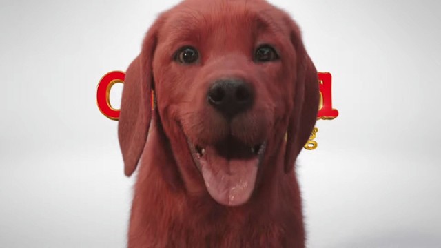 WIDEO: Poznajcie Clifforda, wielkiego czerwonego psa
