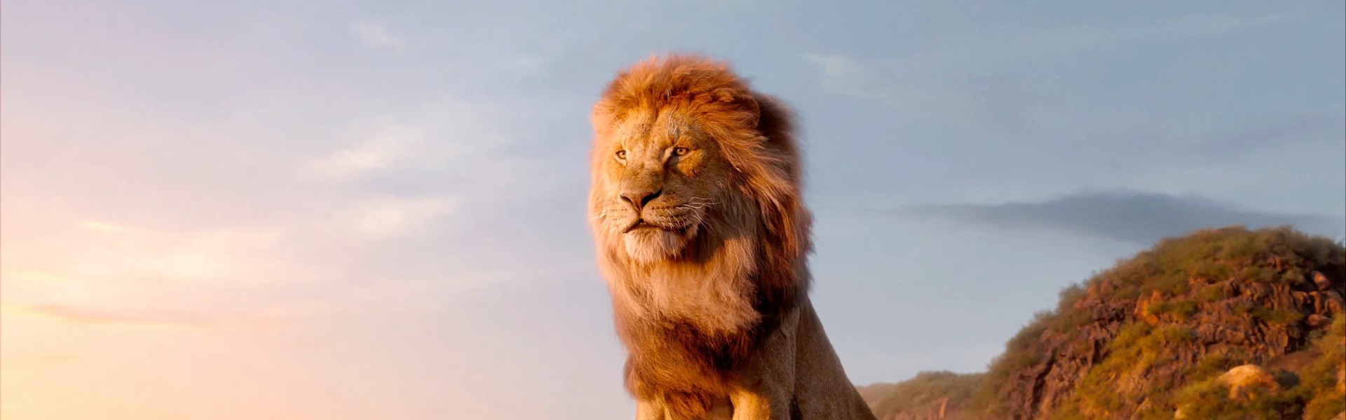 “The Lion King” เหมือน “Star Wars”? Disney กำลังเตรียมสร้างจักรวาลหน้าจอใหม่