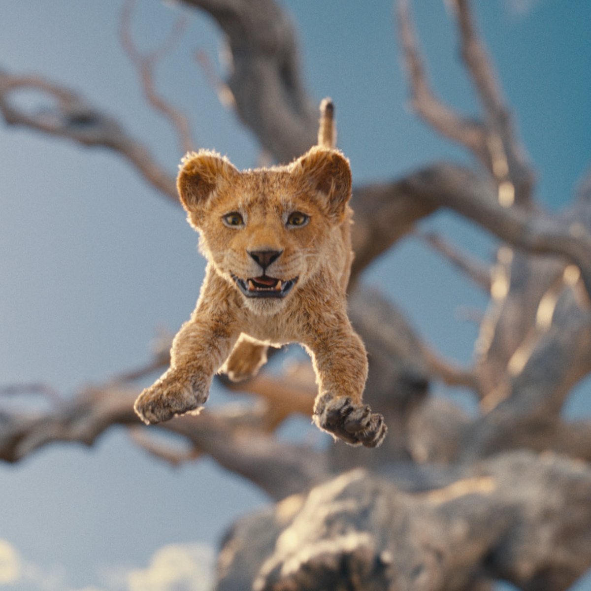 "Mufasa: KrĂłl Lew" wreszcie na Disney+. Znamy datÄ premiery