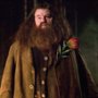 Kolejne zdjęcie z serialu "Harry Potter"! Tak wygląda nowy Rubeus...