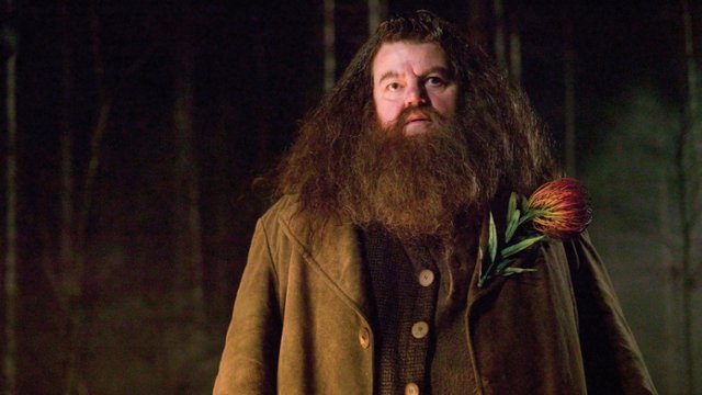 Kolejne zdjęcie z serialu "Harry Potter"! Tak wygląda nowy Rubeus...