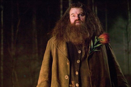 Kolejne zdjęcie z serialu "Harry Potter"! Tak wygląda nowy Rubeus...
