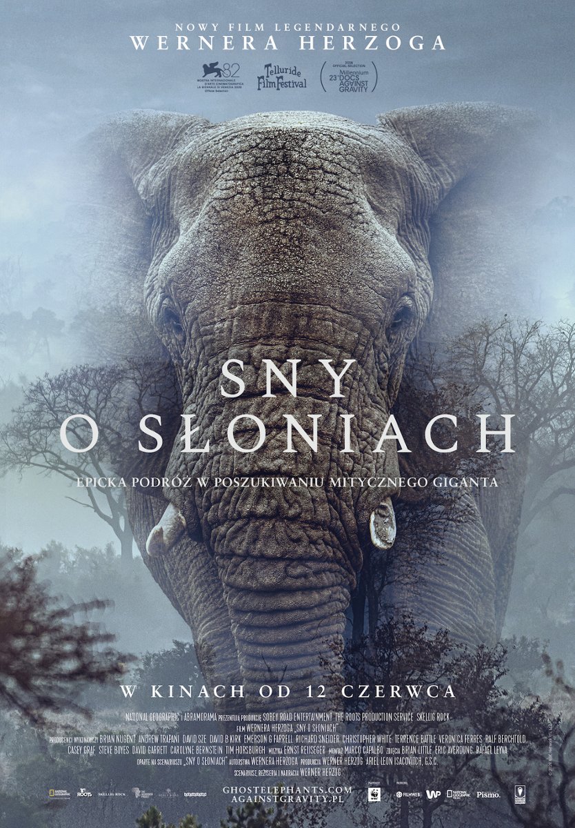 "Sny o słoniach" w kinach już od 12 czerwca