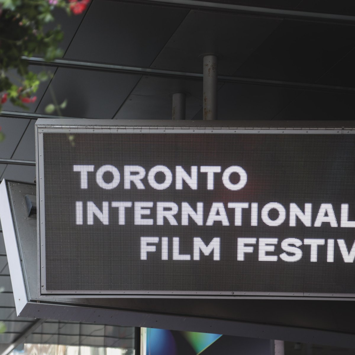 TIFF 2026: debiut reżyserski Rachel Morrison i filmy braci Zellner w sekcji Special Presentations