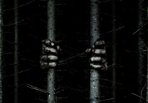 WIDEO: Potworność kryje się w zwiastunie "The Woods"