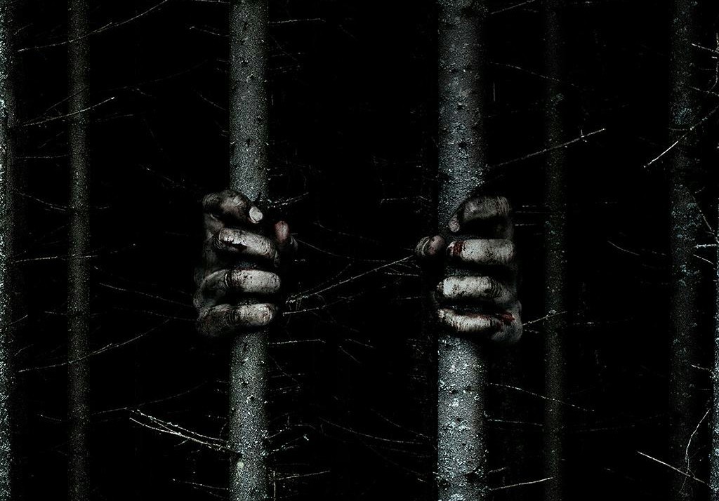 WIDEO: Potworność kryje się w zwiastunie "The Woods"
