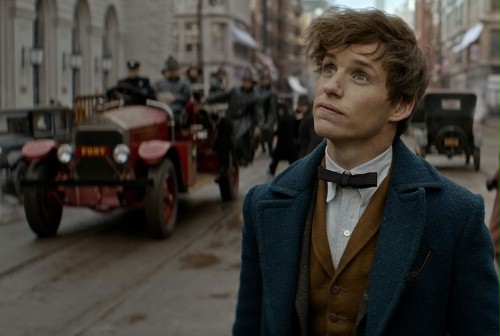 Box Office USA: "Fantastyczne zwierzęta" znalazły się. I to na...