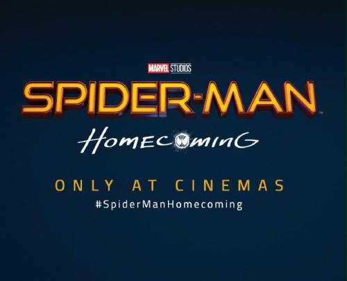 spider.jpg