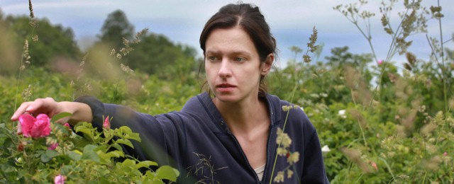 marta_nieradkiewicz_dzikie_róże.jpg