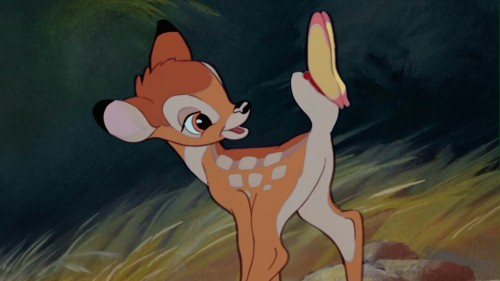 Kłusownik skazany na oglądanie animacji "Bambi"