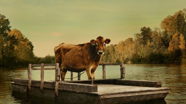 Wyścig po Oscary 2021: "Pierwsza krowa" wygrywa w Nowym Jorku