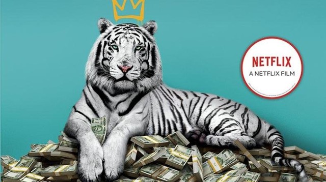 "Biały Tygrys" w księgarniach