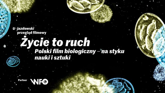 Polski film biologiczny - przegląd w CSW Zamek Ujazdowski