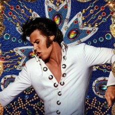 Historia! Operatorzy nagrodzili kobietę. "Elvis" ma najlepsze zdjęcia