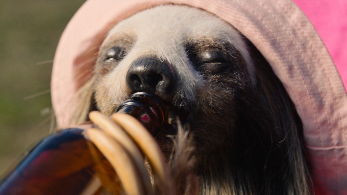 Nadchodzi Splat!FilmFest