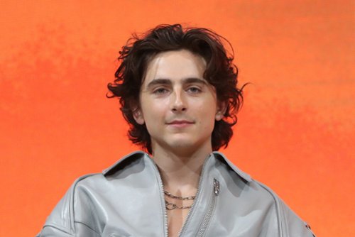 Wyobrażacie to sobie? Timothée Chalamet mógł być gwiazdą...