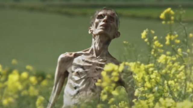 Cillian Murphy jako zombie w "28 latach później"? Jest odpowiedź