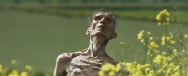 Cillian Murphy jako zombie w "28 latach później"? Jest odpowiedź