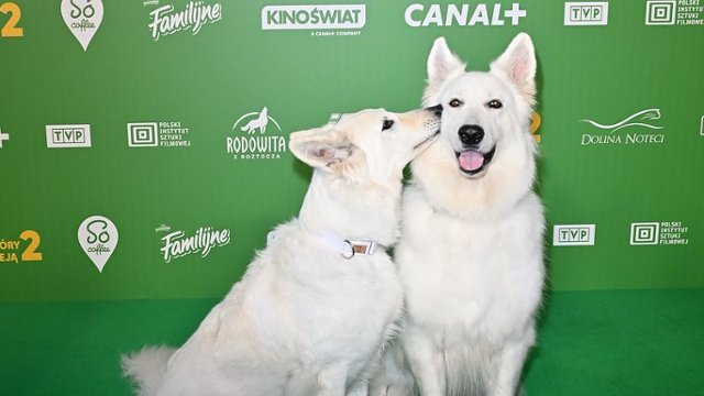 Zobacz relację z premiery "O psie, który jeździł koleją 2"