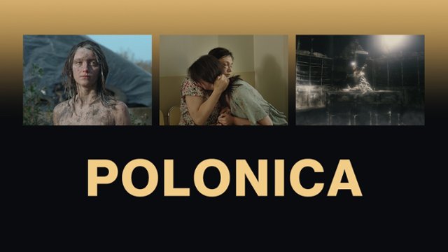 Polonica na 50. FPFF