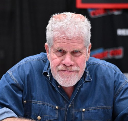 Ron Perlman trafi na "Przylądek strachu"