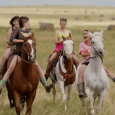 Znamy zwycięzców 16. TAURON American Film Festival we Wrocławiu