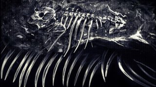 Box Office USA: YouTuber autorem pierwszego hitu 2026 roku