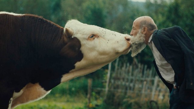 Ruszamy na poszukiwania! Hasło i zwiastun 23. MDAG